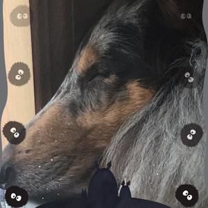 Meet your Posher, Kadesha